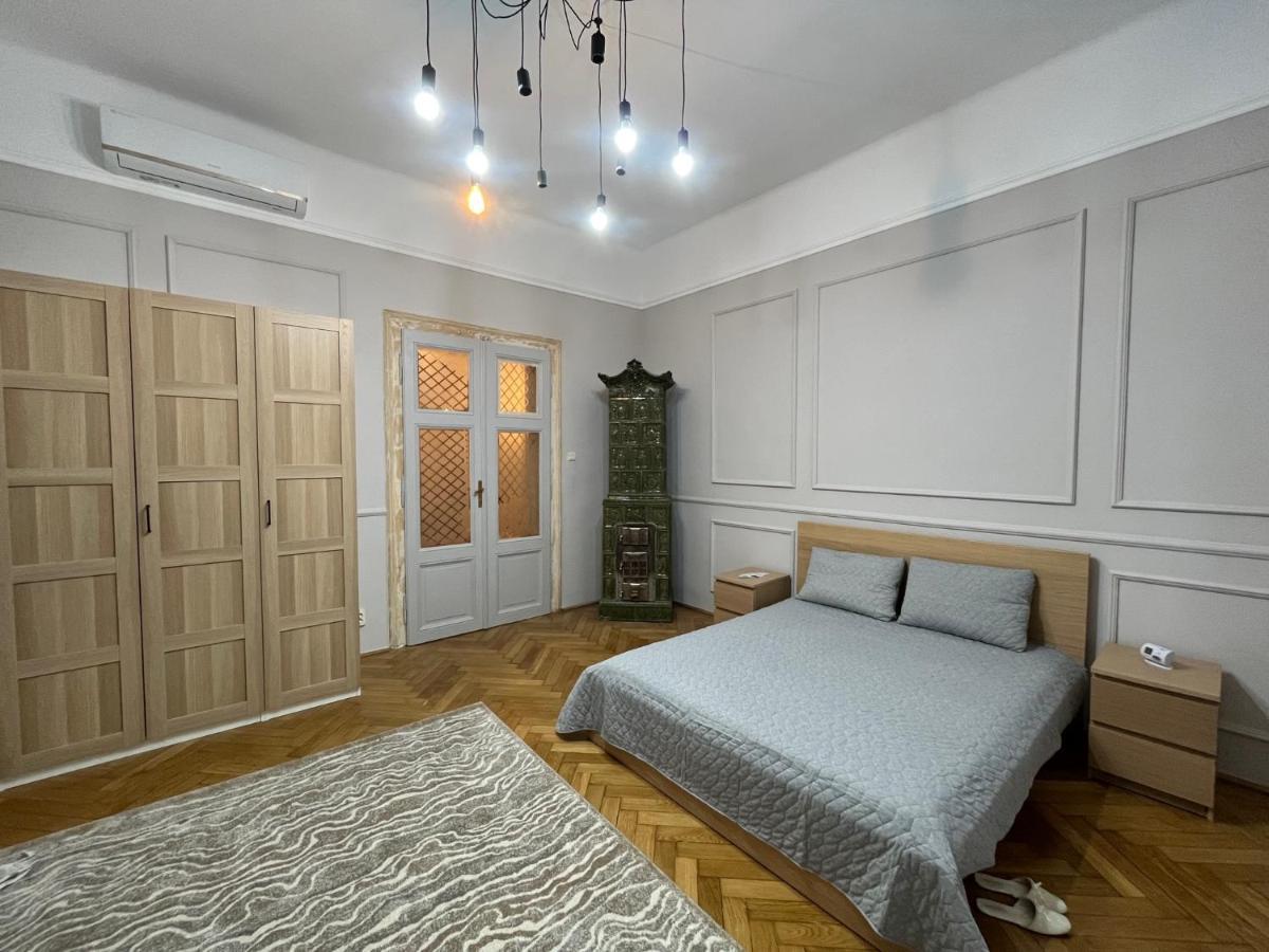 Barty Downtown Apart 2 Timisoara Luaran gambar