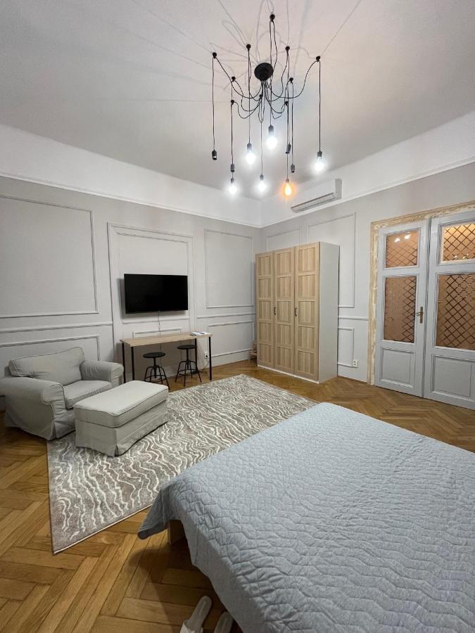 Barty Downtown Apart 2 Timisoara Luaran gambar